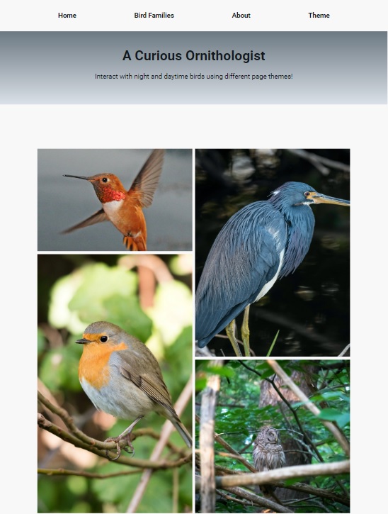 Photo of the Curious Ornithologist Website