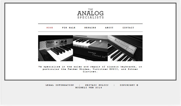 Photo of the Analog Specialist website