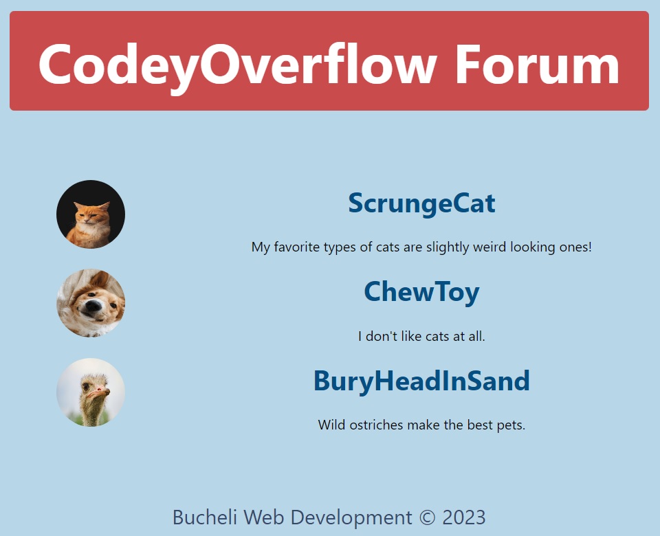 Photo of the CodeyOverflow App