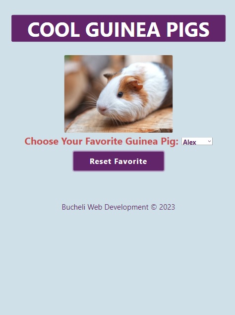 Photo of the Cool Guinea Pigs App