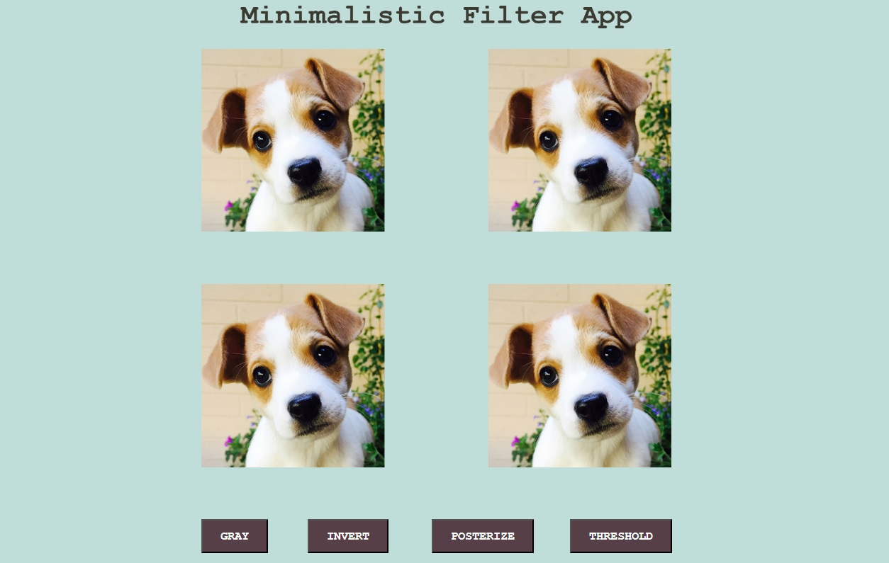 Photo of the Minimalistic Filter App