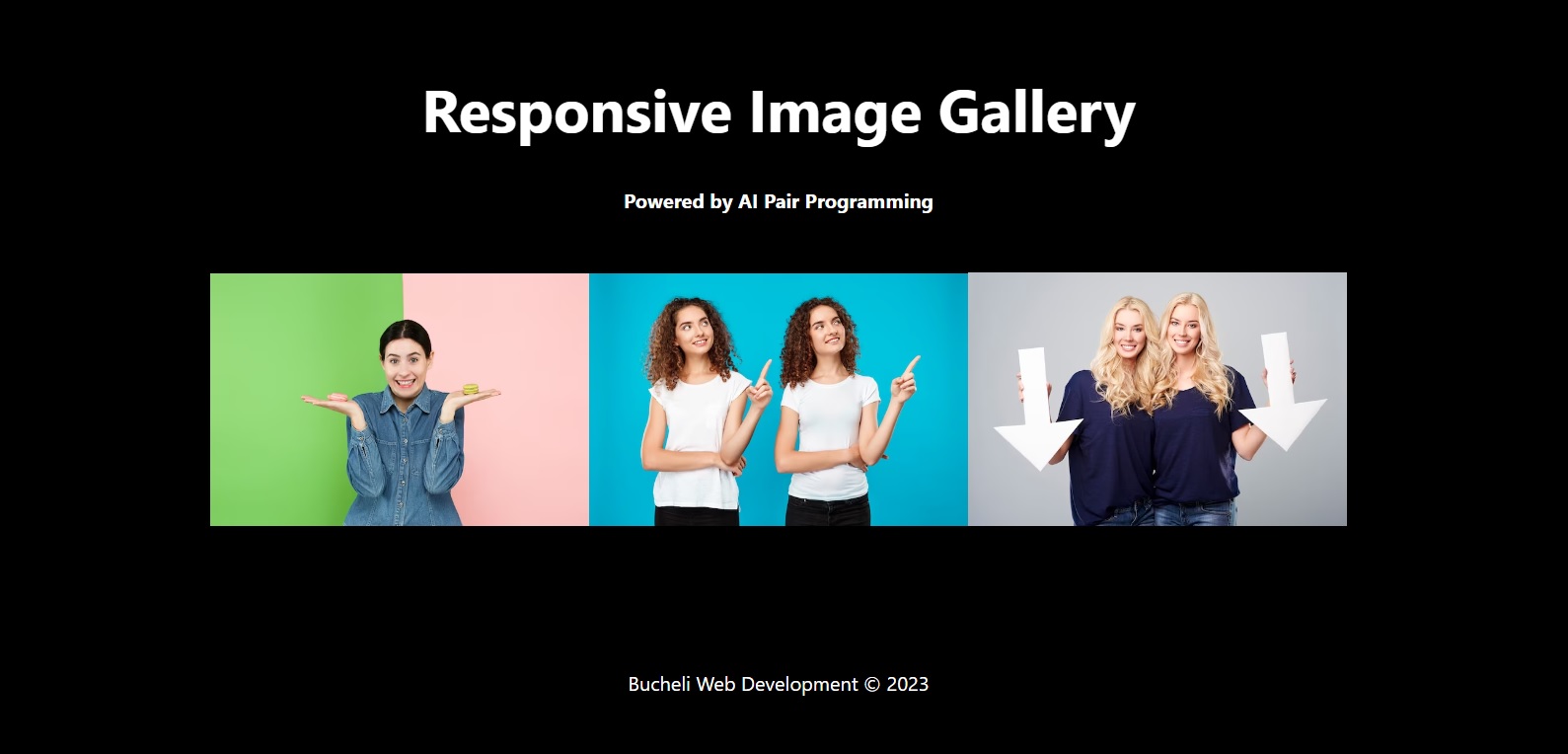 Photo of the responsive image gallery app