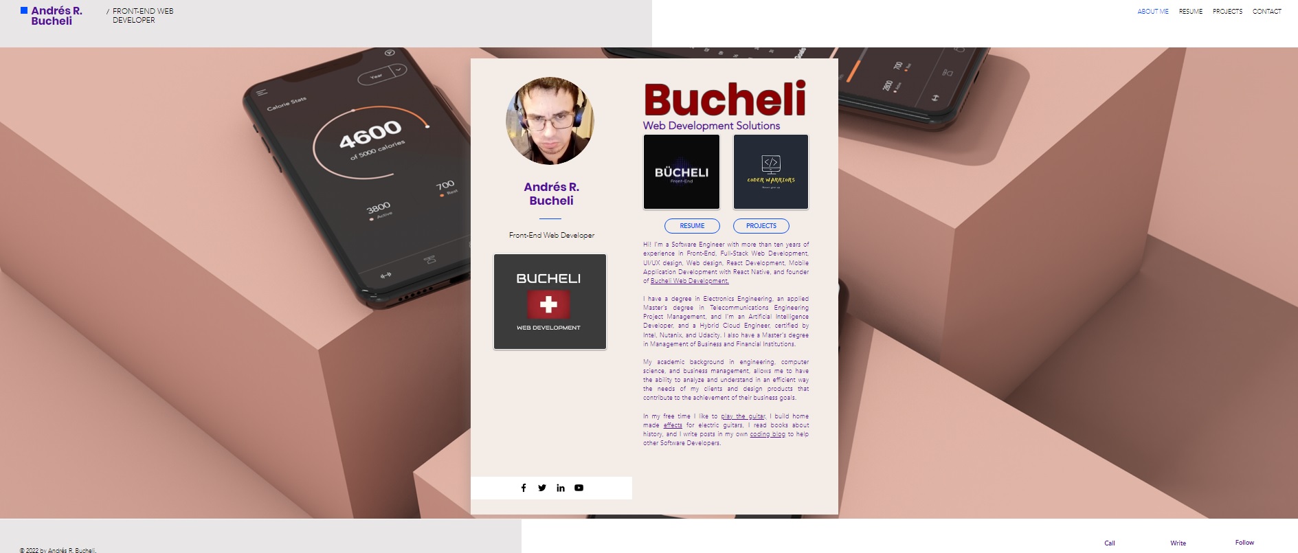 Photo of the Bucheli Web Development Solutions Website